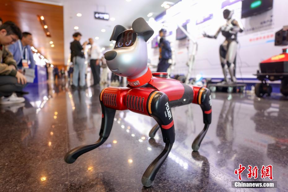 各種タイプのロボットが南京に大集合　江蘇省