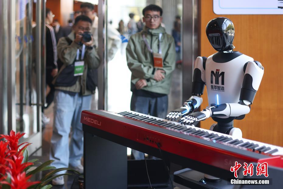 各種タイプのロボットが南京に大集合　江蘇省