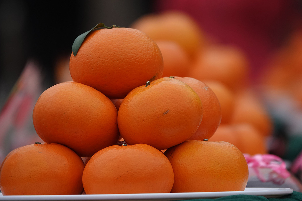 （畫像著作権はCFP視覚中國所有のため転載禁止