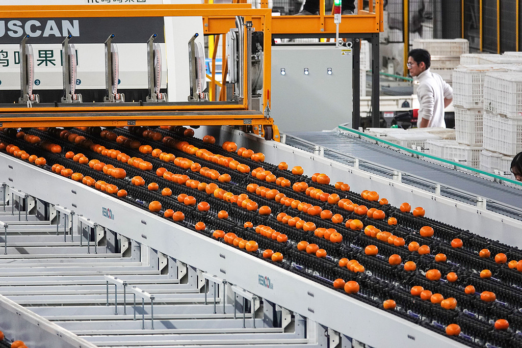 （畫(huà)像著作権はCFP視覚中國(guó)所有のため転載禁止）