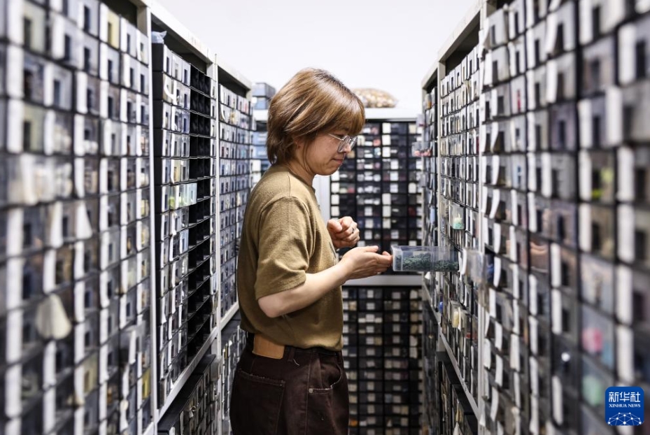 大きな市場を動かす小さなボタン　浙江省永嘉