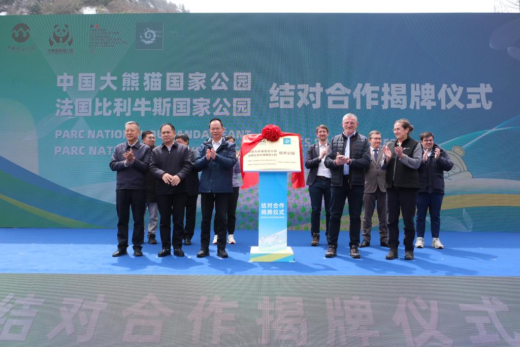 中國ジャイアントパンダ國家公園とフランスピレネー國立公園の連攜協(xié)力除幕式の現(xiàn)場。撮影?張雅雯
