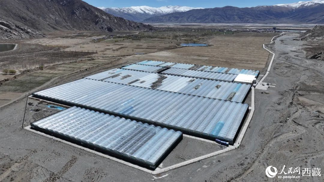 ゴビ田園の全景。撮影?次仁竜布