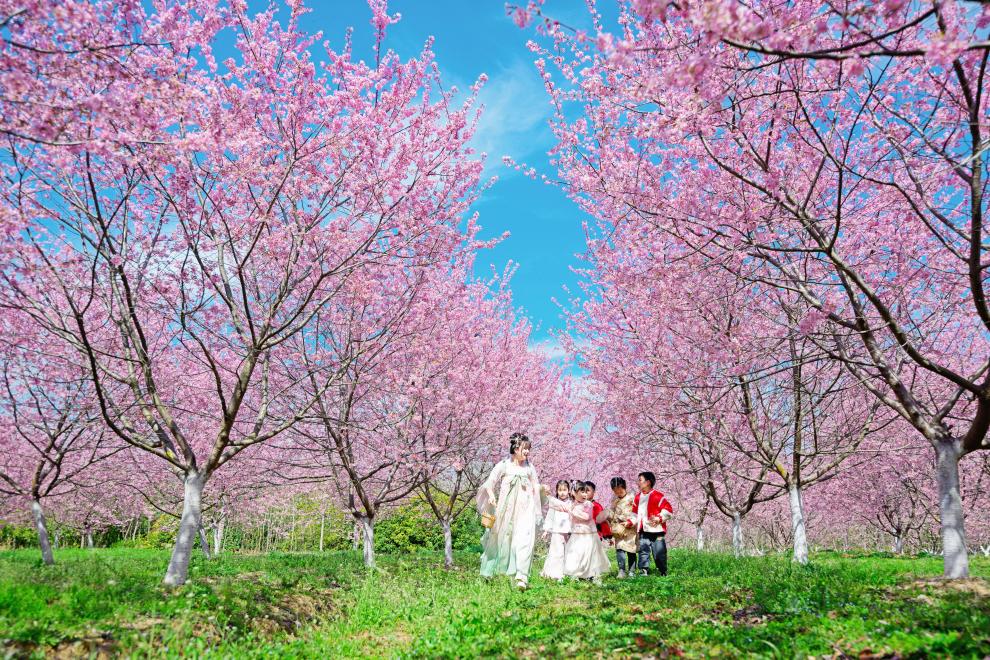 寫真提供?新華社