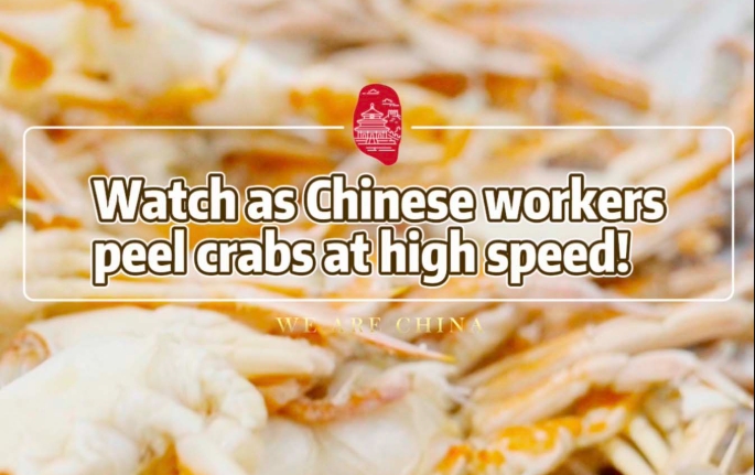 カニの身を取り出す作業(yè)を見たことある？