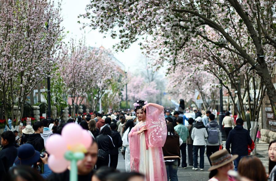 天津でハナカイドウフェス開催　「春の経済」盛り上げる