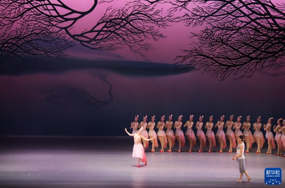 新潟県新潟市で上演された上海歌舞団によるオリジナル舞劇「朱鷺（トキ）」（4月6日撮影?陳澤安）。