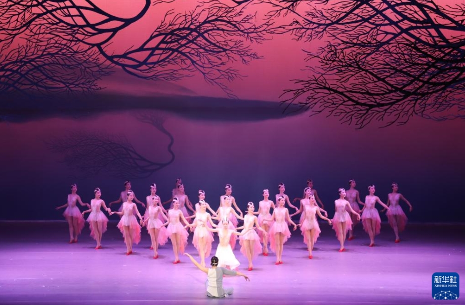 舞劇「朱鷺」日本の新潟で上演され、観客を魅了