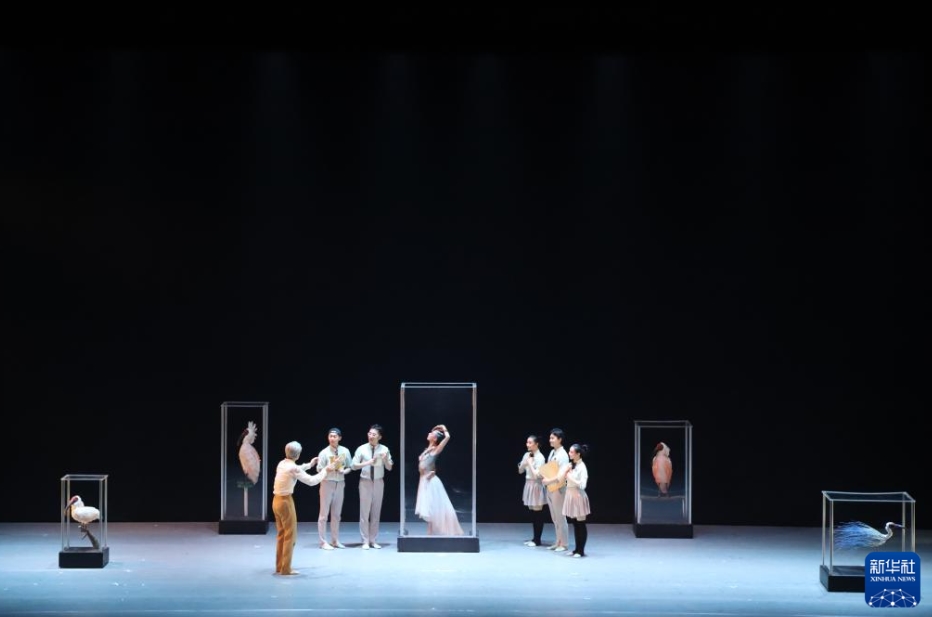 舞劇「朱鷺」日本の新潟で上演され、観客を魅了