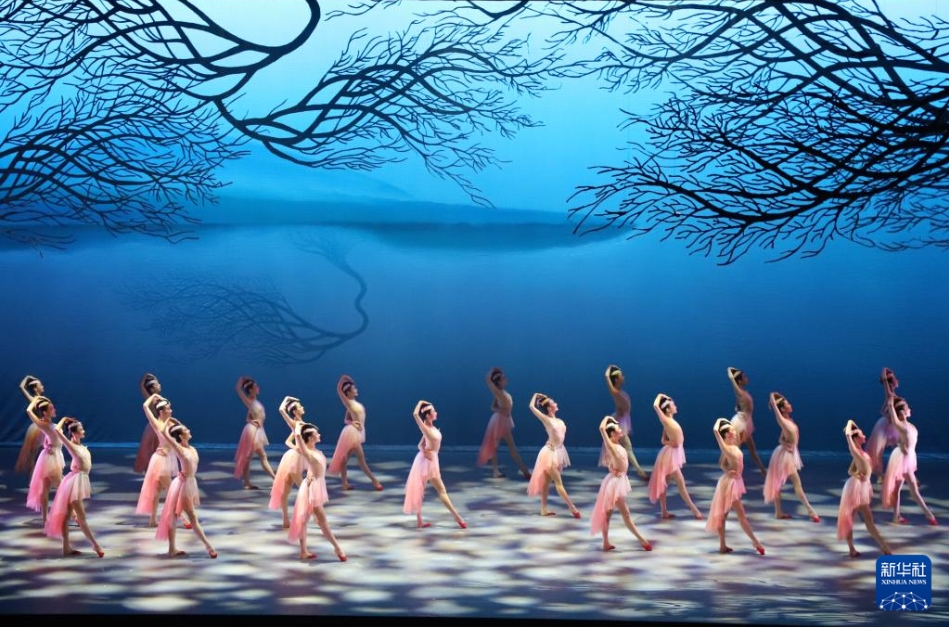 舞劇「朱鷺」日本の新潟で上演され、観客を魅了