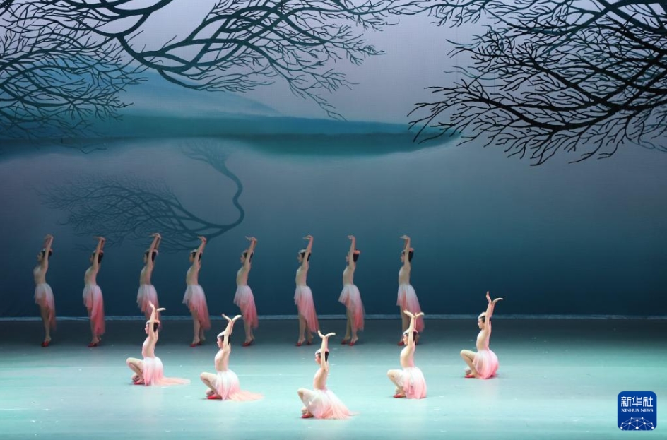 舞劇「朱鷺」日本の新潟で上演され、観客を魅了