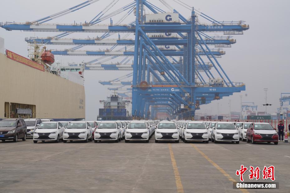 広西北部灣港とアラブ首長(zhǎng)國(guó)ジュベル?アリ港を結(jié)ぶ初の直行RORO船航路が開(kāi)通