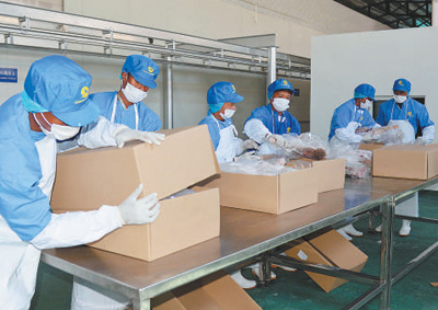 マダガスカルの首都アンタナナリボで、現(xiàn)地の作業(yè)員がまもなく中國に輸出される羊肉の梱包作業(yè)を行う様子。（寫真提供：新華社）