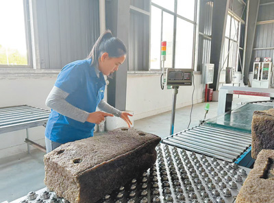 ラオスの首都ビエンチャンにあるゴム製造工場の製造ラインで働く現(xiàn)地の従業(yè)員。（撮影?孫広勇）