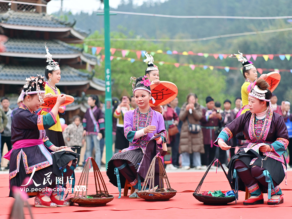 「油茶文化フェス」が開(kāi)催　広西?三江
