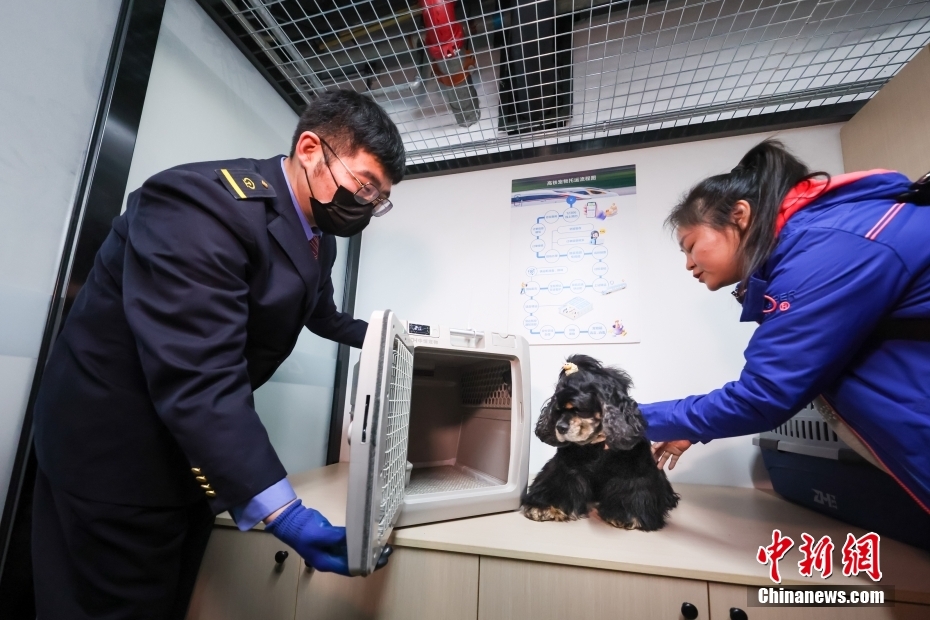 中國初の高速列車ペット預(yù)かりサービスが10日から本格的にスタート