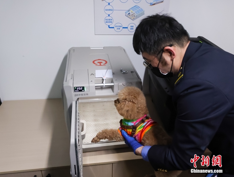 中國初の高速列車ペット預(yù)かりサービスが10日から本格的にスタート