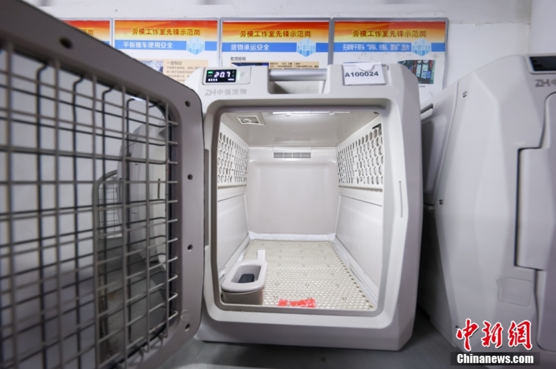 中國初の高速列車ペット預(yù)かりサービスが10日から本格的にスタート