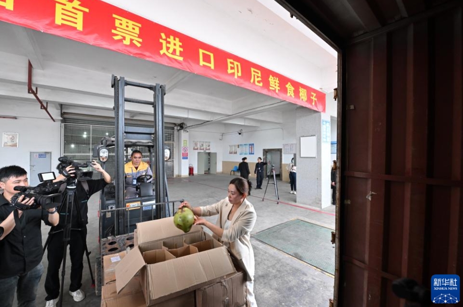 中國(guó)初輸入のインドネシア産生ココナッツが福建省福州に到著