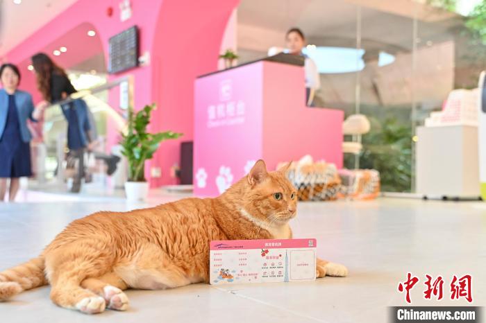 広州白雲(yún)空港にペットターミナルがプレオープン　 広東省