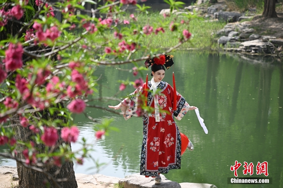 來園客を魅了する中山公園の満開の春の花　北京市