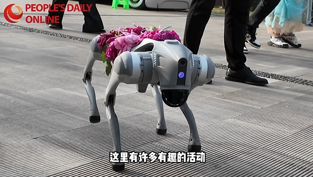 山東省菏沢市の艶やかな牡丹の花が産業(yè)発展を牽引