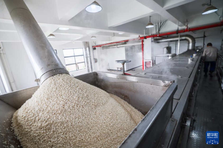 「老舗」の革新アップグレードが農(nóng)業(yè)の新たな質(zhì)の生産力発展を支援　浙江省嘉興