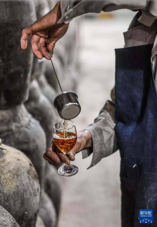 「老舗」の革新アップグレードが農(nóng)業(yè)の新たな質(zhì)の生産力発展を支援　浙江省嘉興