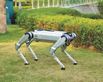 屋外で行われる犬型ロボットのテストの様子（資料寫真）。
