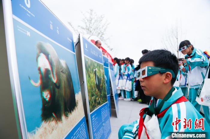 児童たちが科學(xué)技術(shù)の魅力を?qū)g感　青海省民和