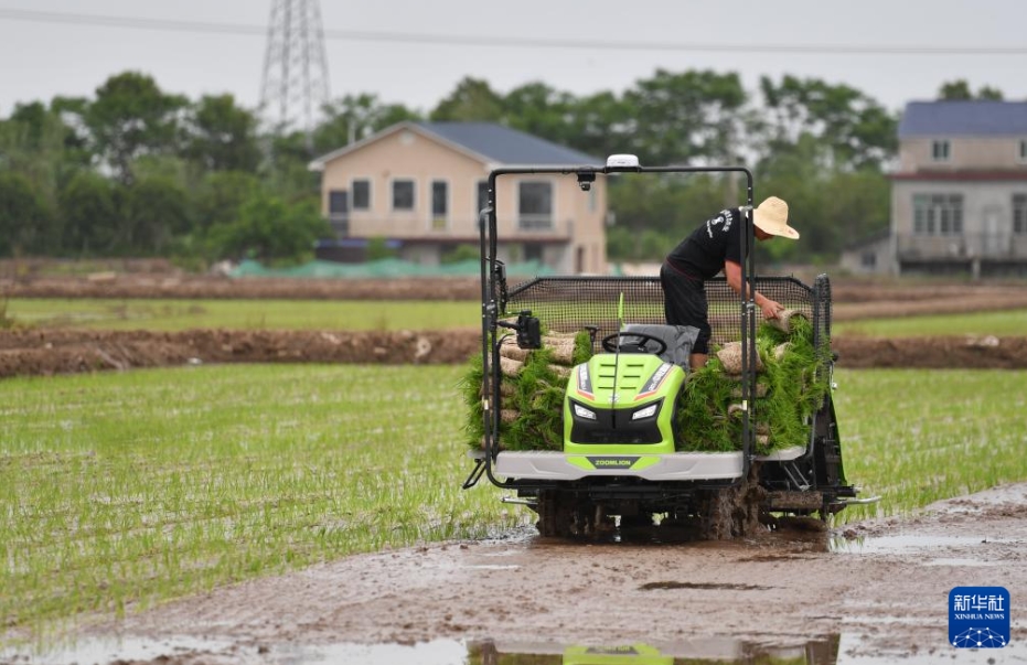 春の耕作で活躍する自動(dòng)運(yùn)転田植機(jī)　湖南省