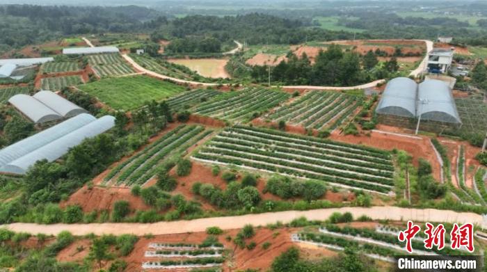 零陵區(qū)で導(dǎo)入されているスマート農(nóng)業(yè)（寫真提供?零陵區(qū)黨委員會宣伝部）。