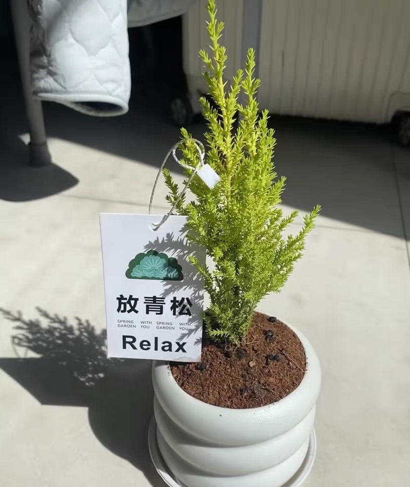 寫真提供?新華社