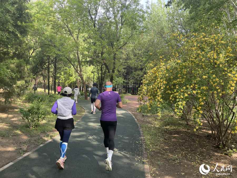 ウォーキングやランニングをする人たちのために整備されたコース（撮影?勝又あや子）。