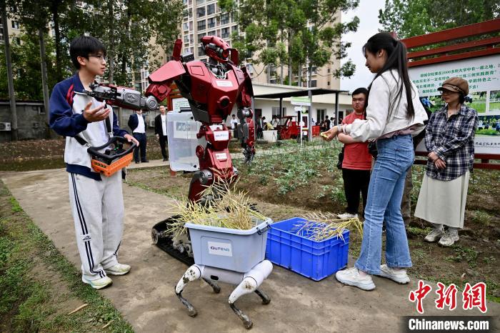 大學(xué)農(nóng)場で菜種の収穫手伝う人型ロボットとロボット犬　四川省成都