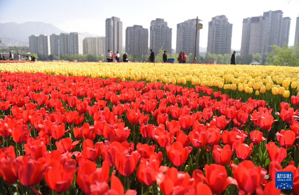 「メーデー」連休まもなく到來　各地で高まる観光熱