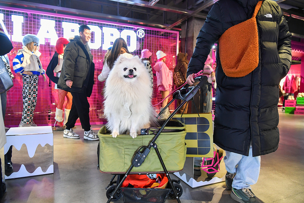 （畫像著作権はCFP視覚中國所有のため転載禁止）