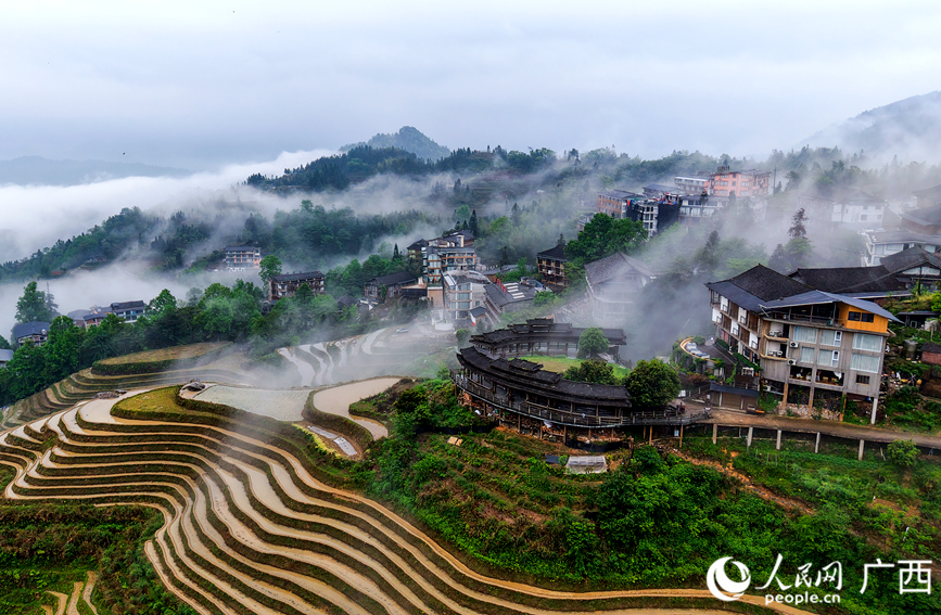 観光客を魅了する美しい棚田　広西?竜勝