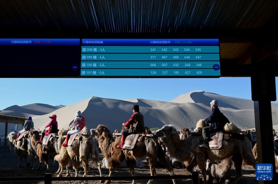 砂漠ラクダ乗り體験のデジタルシステムが稼働開始　甘粛省敦煌