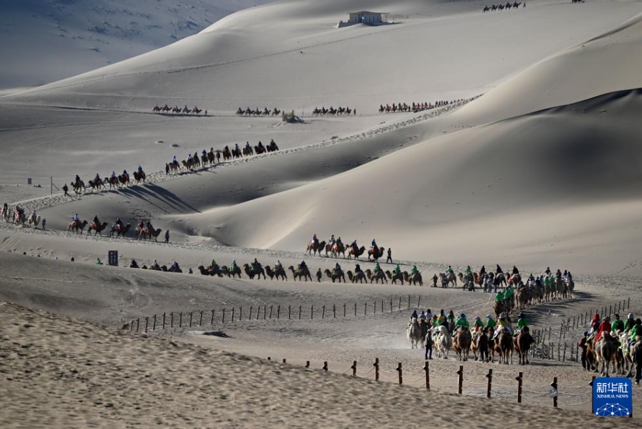 砂漠ラクダ乗り體験のデジタルシステムが稼働開始　甘粛省敦煌