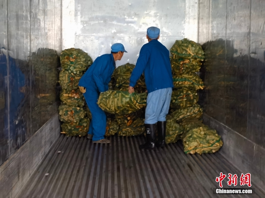 寧夏初の「海上輸送用冷蔵コンテナ」によるレール?アンド?シー列車が運(yùn)行開(kāi)始