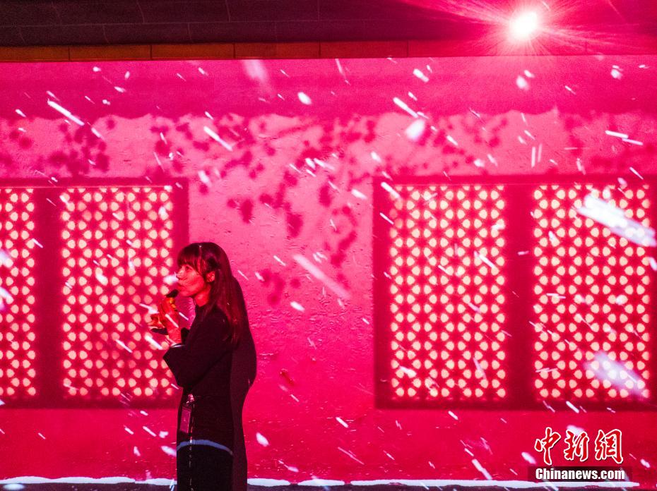 香港故宮文化博物館で故宮の「模様」を沒(méi)入型體験できる特別展