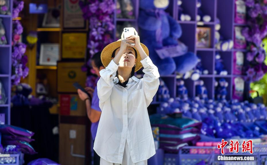 新疆各地で盛り上がる観光市場(chǎng)