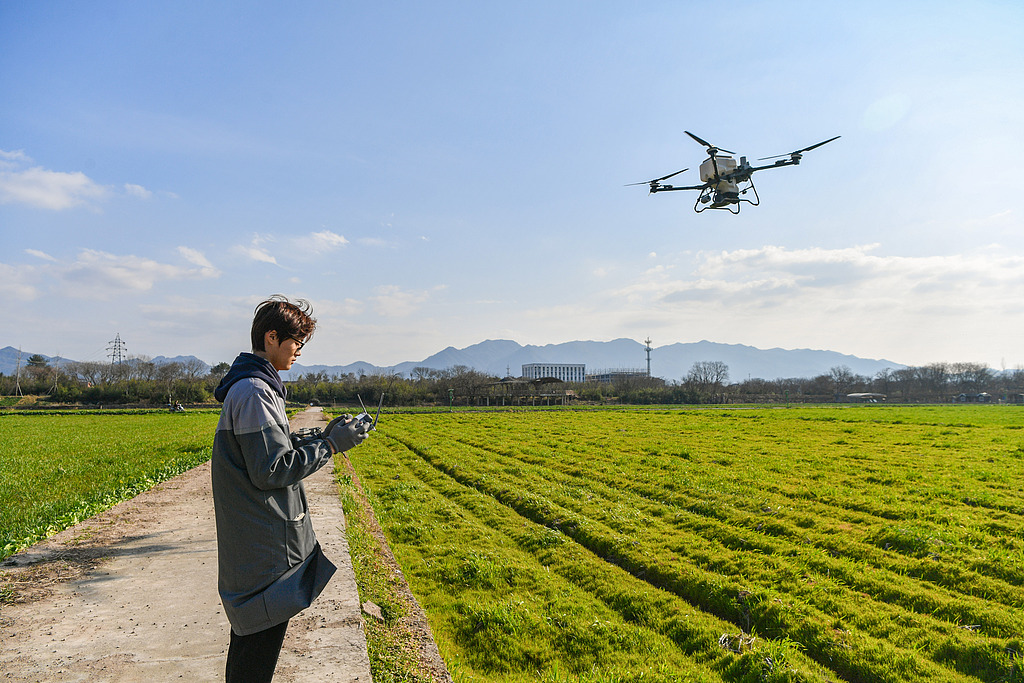 資料寫真（畫像著作権はCFP視覚中國所有のため転載禁止）