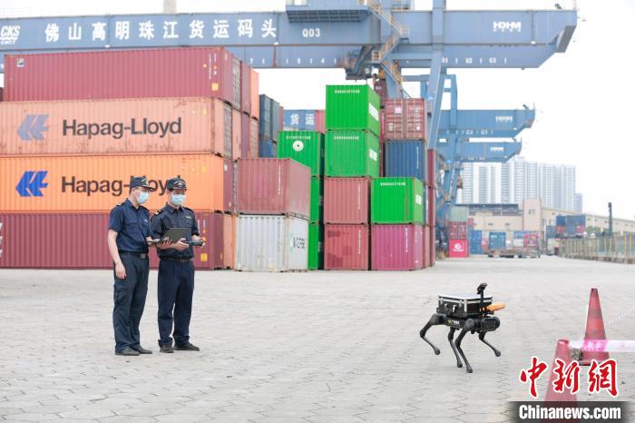 このロボット犬を操作して輸入コンテナの放射性物質(zhì)を検査している広州稅関の職員。畫像提供：広州稅関
