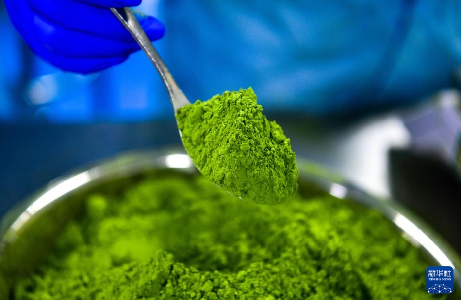 山奧にある世界の抹茶「ギガファクトリー」　貴州省