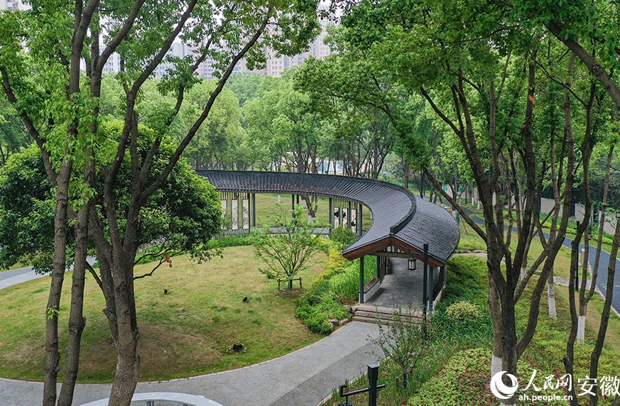 104ヶ所あるポケットパークで自然を満喫　安徽省馬鞍山市