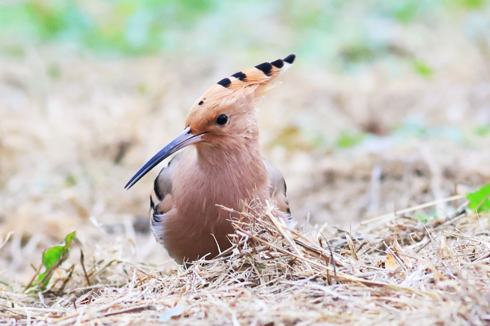 寫(xiě)真提供?新華社