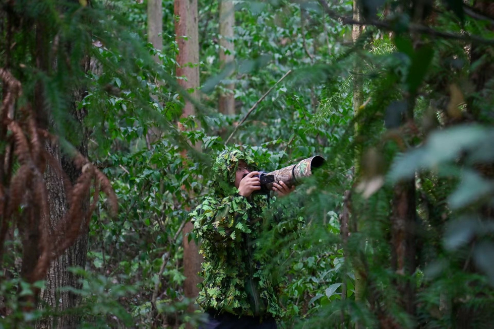 寫真提供?取材対象者