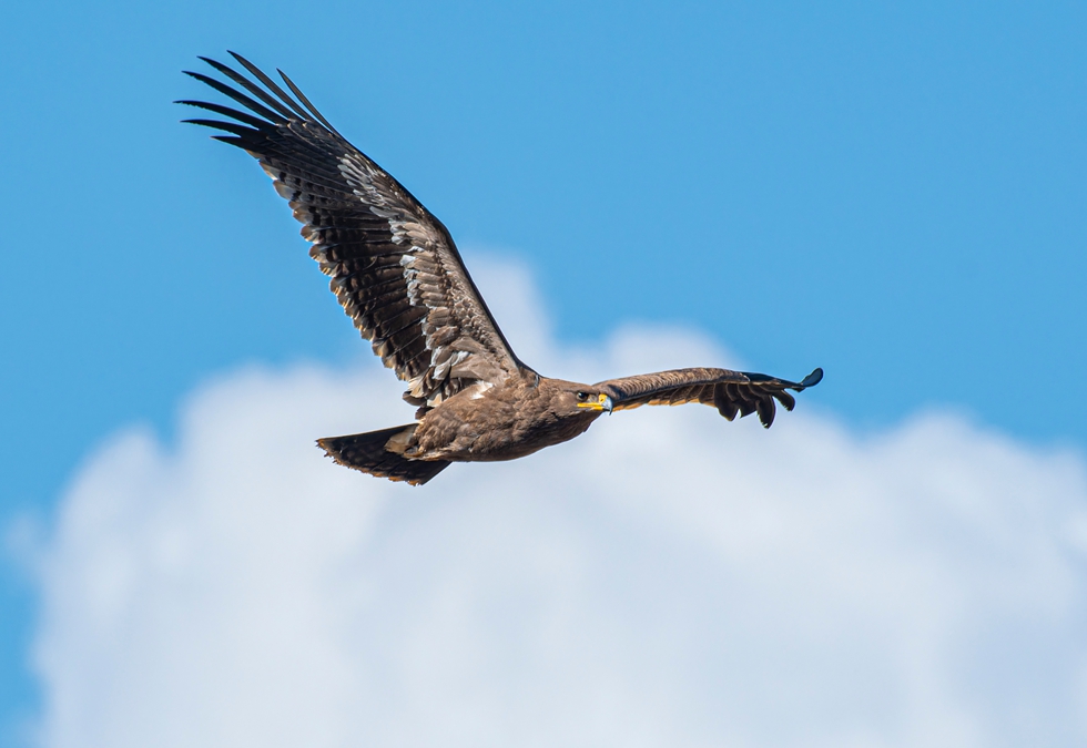 寫真提供?取材対象者